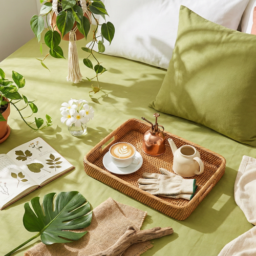 Naksh Plain Cotton Bedsheet - Moss Green (210 TC)